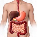 Digestie îmbunătățită cu Glucovital